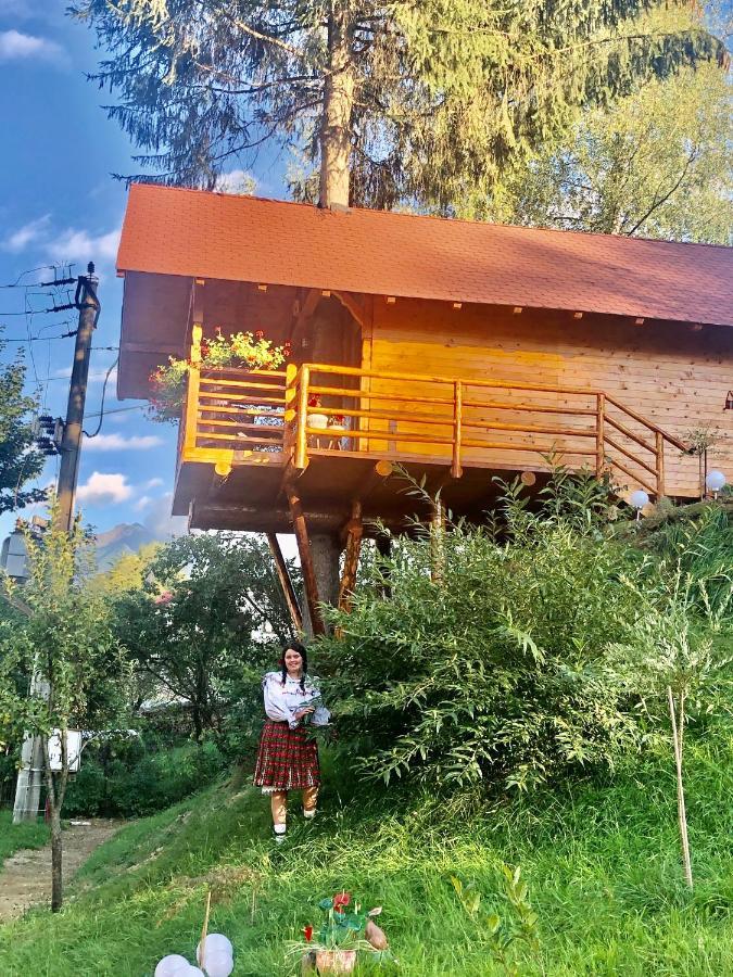 Domeniul Horj Casa Din Deal Мойсей Экстерьер фото