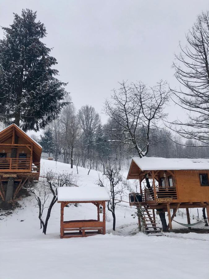 Domeniul Horj Casa Din Deal Мойсей Экстерьер фото